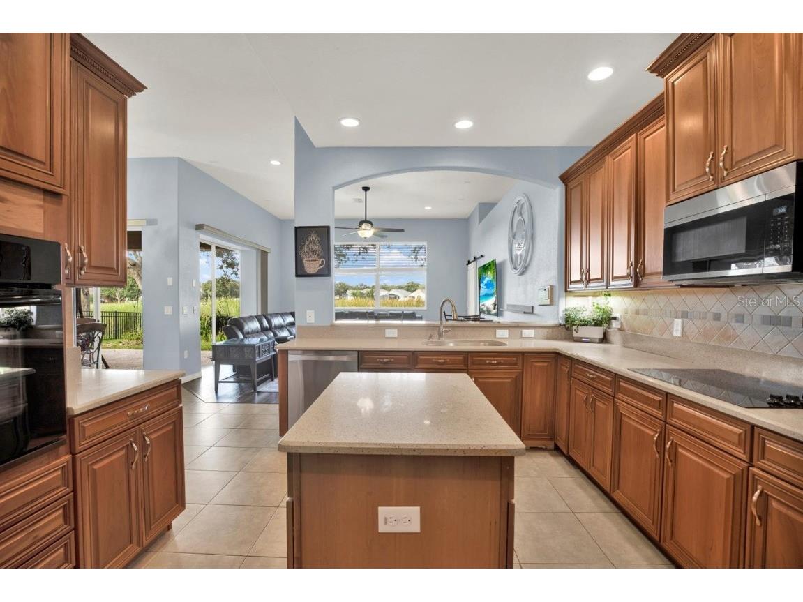 10435 Deerberry Drive Land O Lakes FL 34638 W7879084 image6