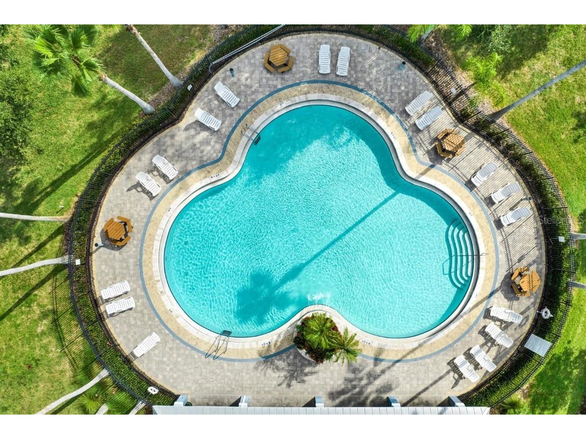 10435 Deerberry Drive Land O Lakes FL 34638 W7879084 image61