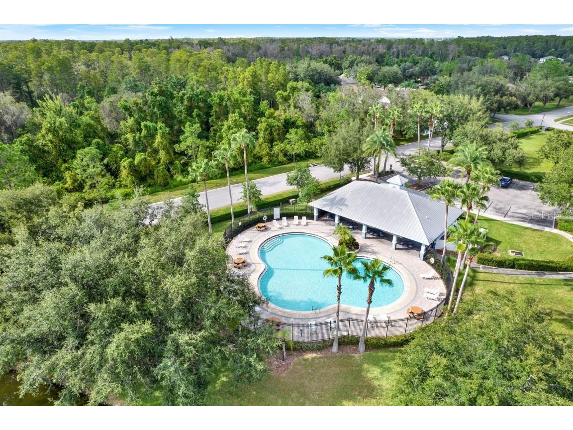 10435 Deerberry Drive Land O Lakes FL 34638 W7879084 image62