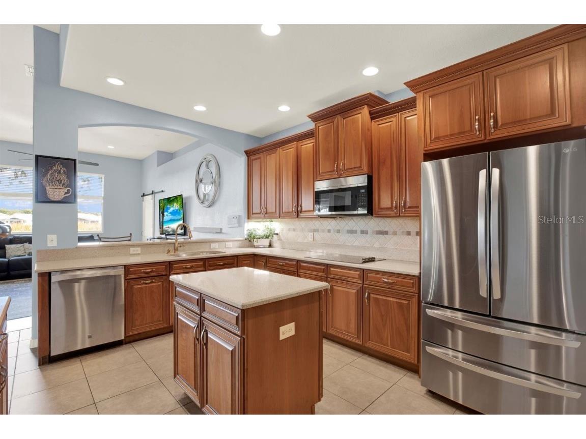 10435 Deerberry Drive Land O Lakes FL 34638 W7879084 image7