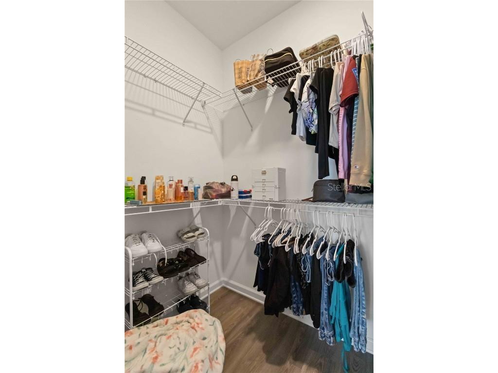 10435 Ladybug Cove Parrish FL 34219 A4635603 image18