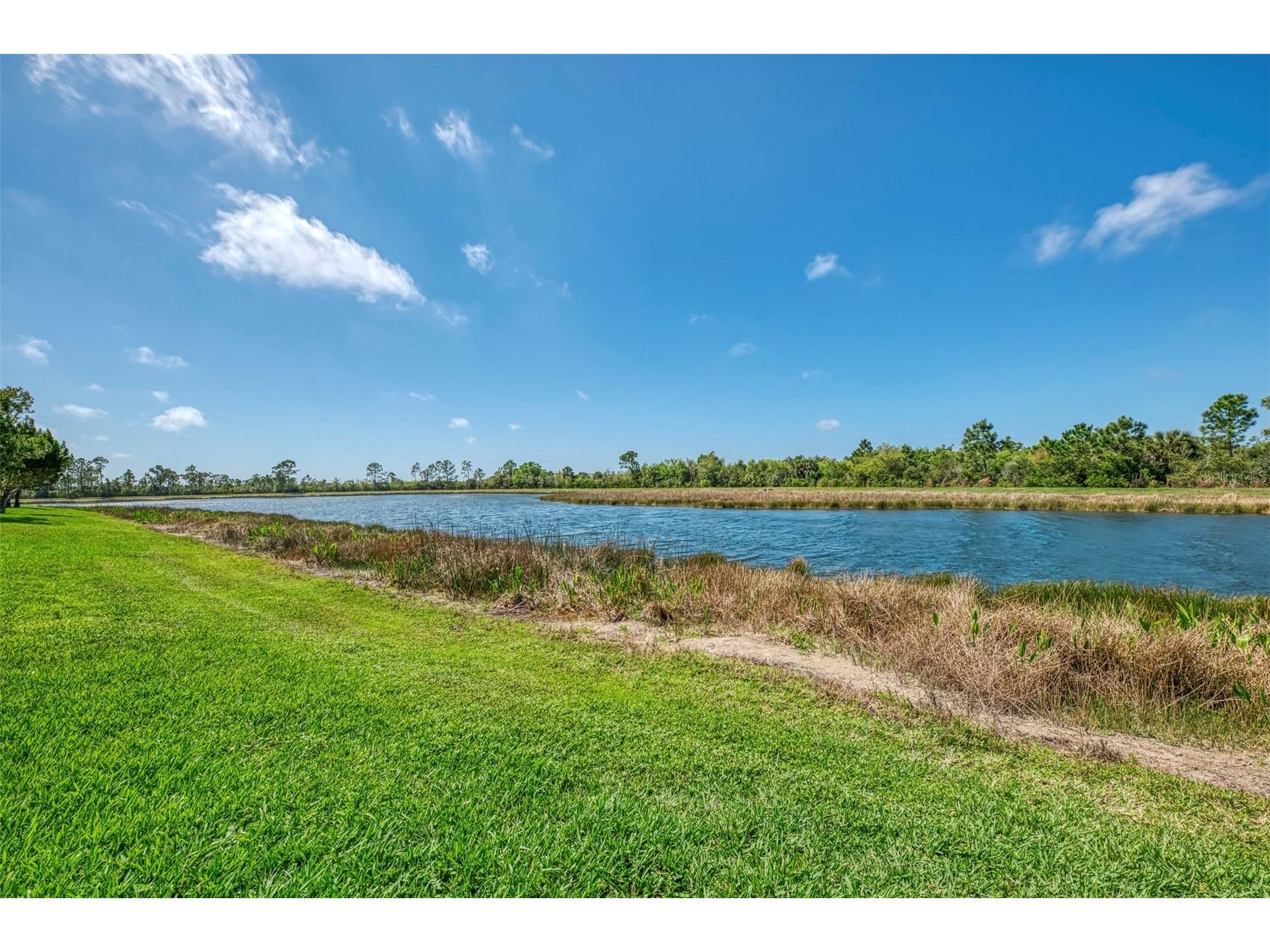 10435 Medjool Drive Venice FL 34293 N6143515 image58