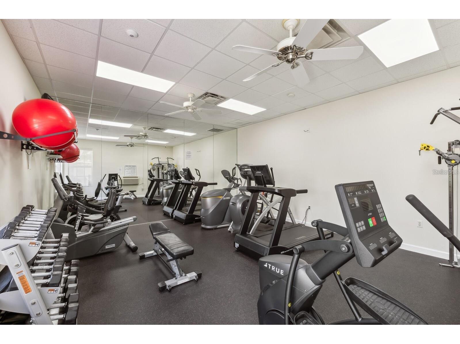 10435 Pilothouse Circle #125 Placida FL 33946 - CORAL CREEK D6145318 image51