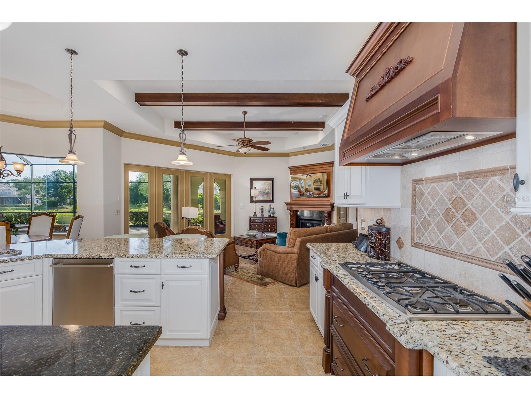 10435 Pontofino Circle Trinity FL 34655 W7883915 image18