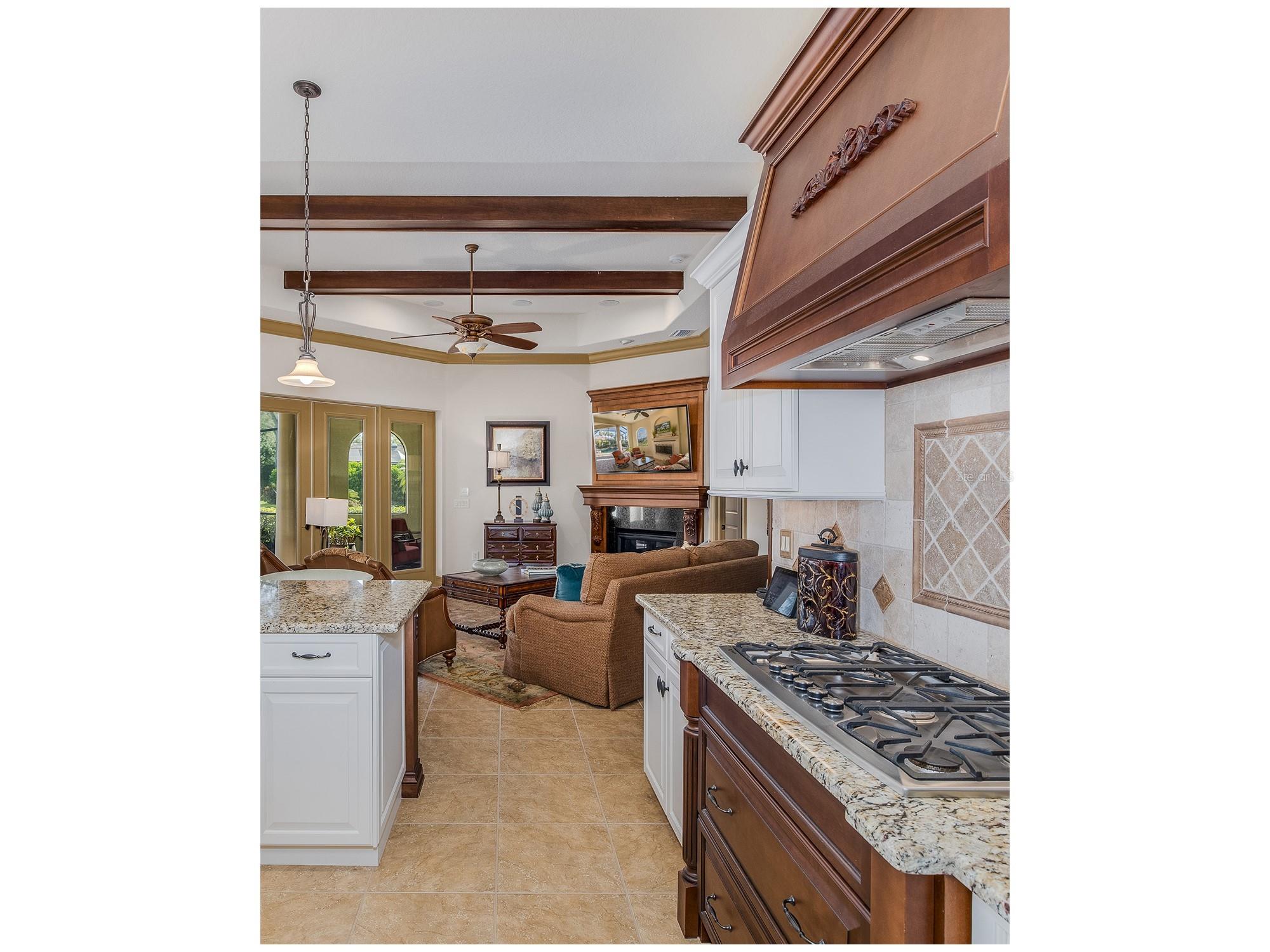 10435 Pontofino Circle Trinity FL 34655 W7883915 image24