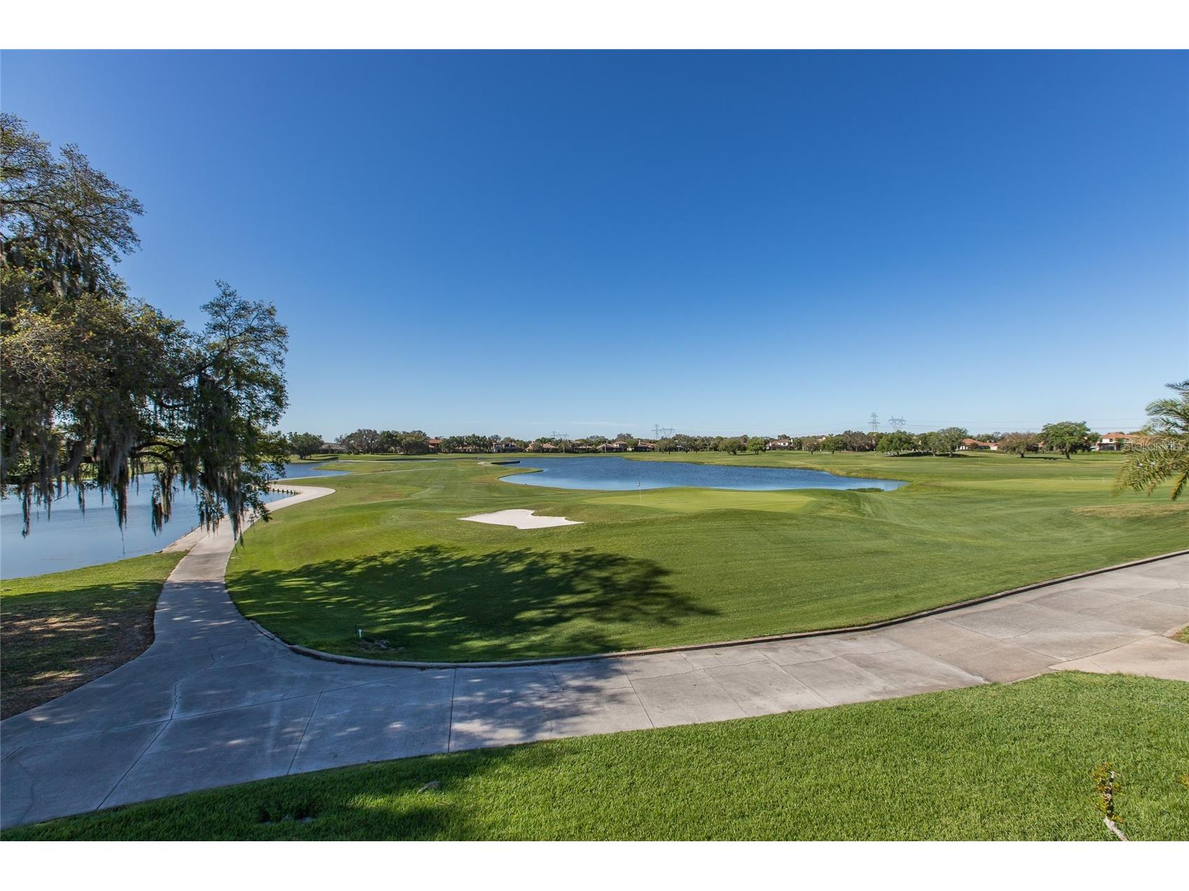 10435 Pontofino Circle Trinity FL 34655 W7883915 image95