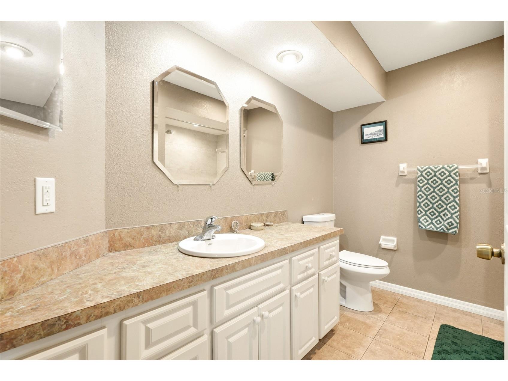 10435 Tassel Street Spring Hill FL 34608 TB8532515 image22