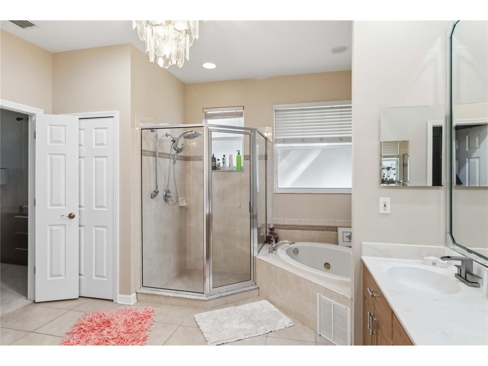 10436 Canary Isle Drive Tampa FL 33647 TB8503054 image25