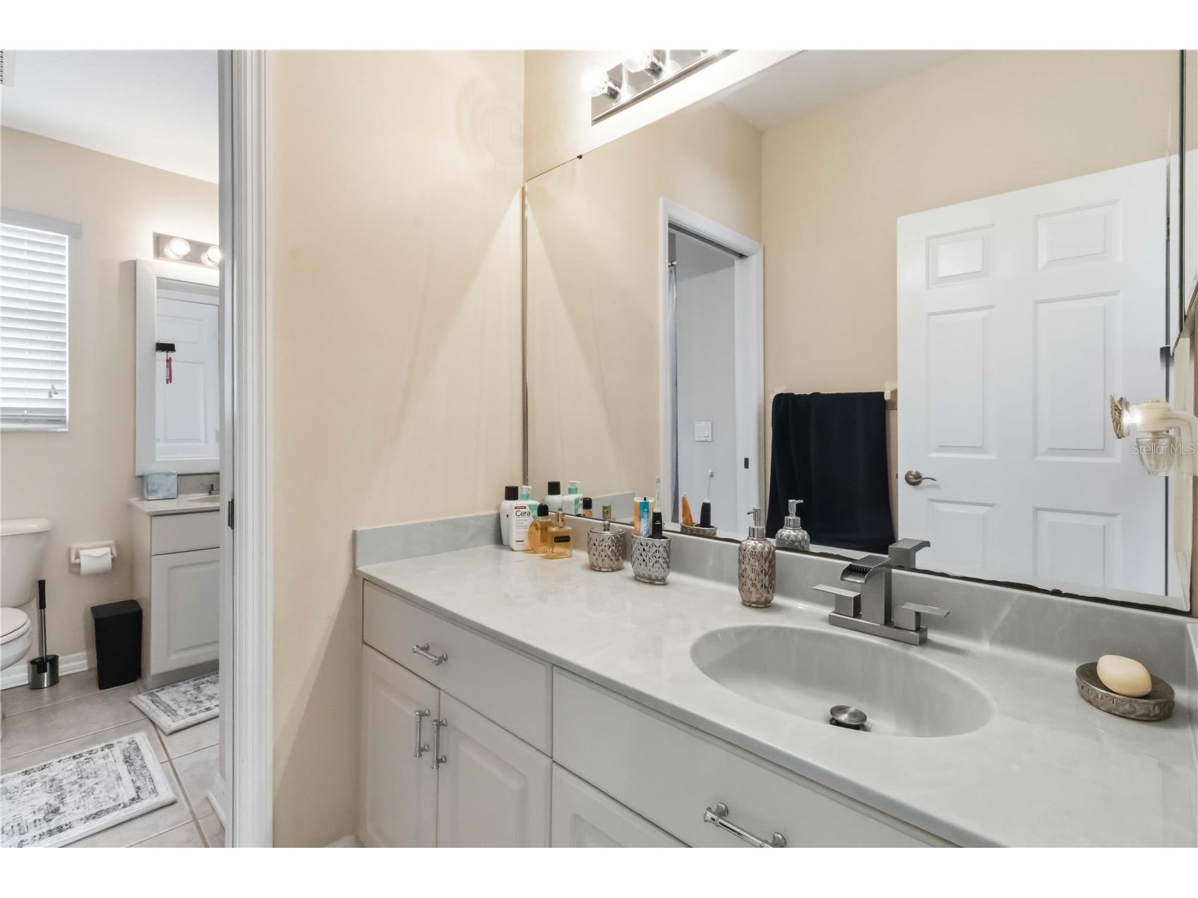 10436 Canary Isle Drive Tampa FL 33647 TB8503054 image34