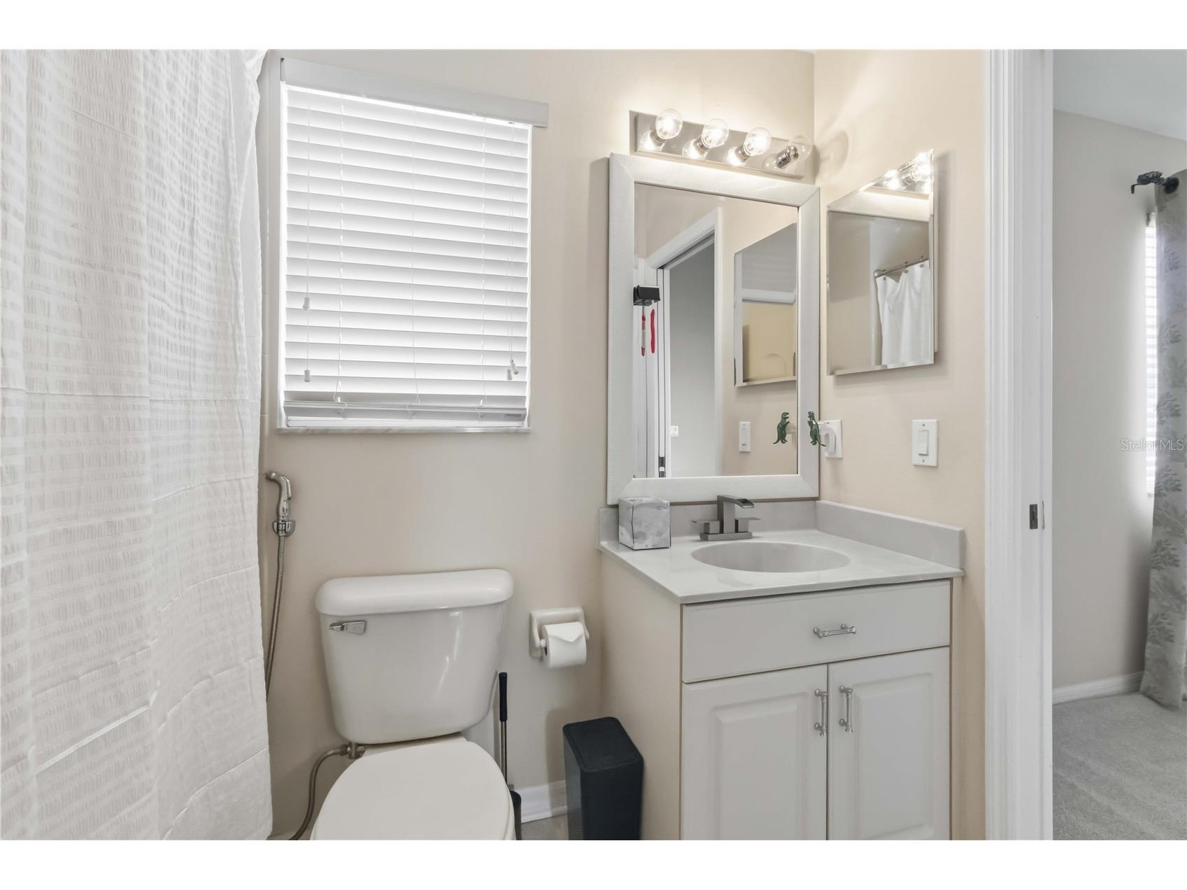 10436 Canary Isle Drive Tampa FL 33647 TB8503054 image35