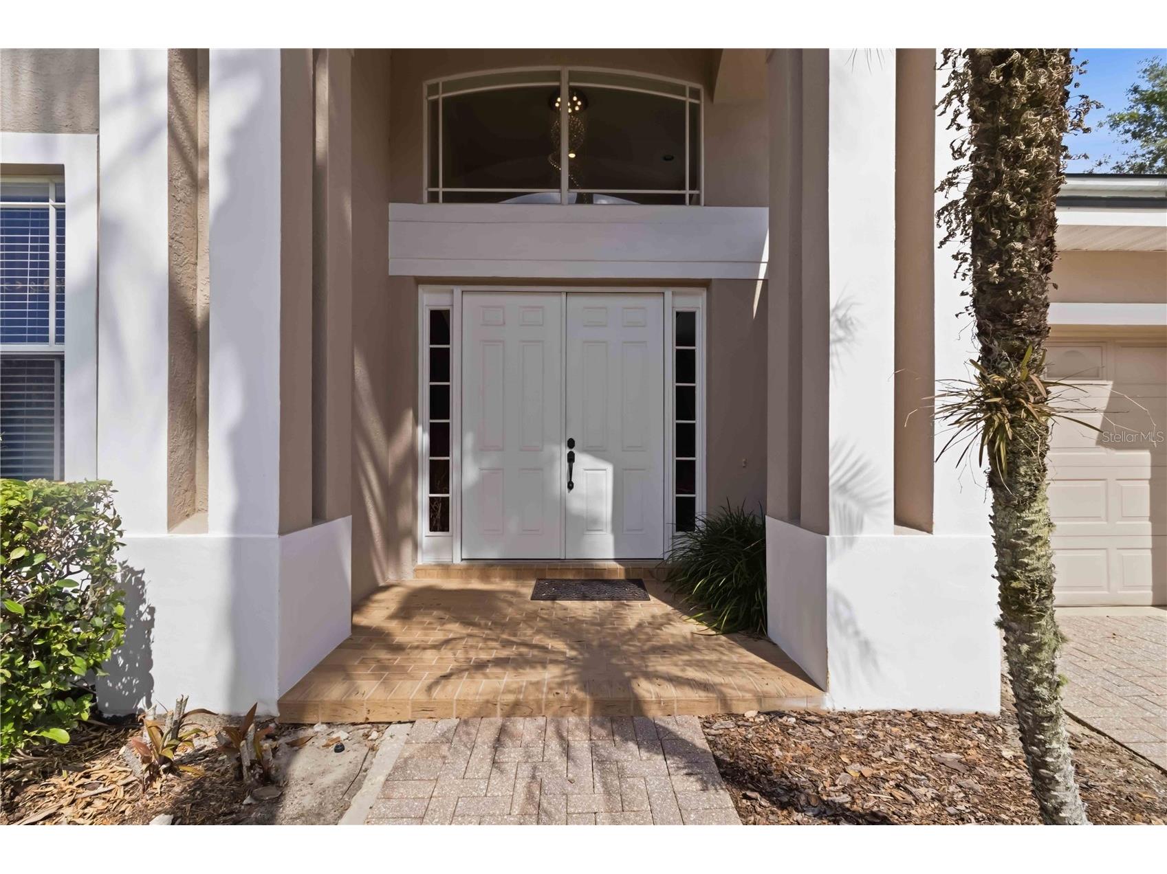 10436 Canary Isle Drive Tampa FL 33647 TB8503054 image4