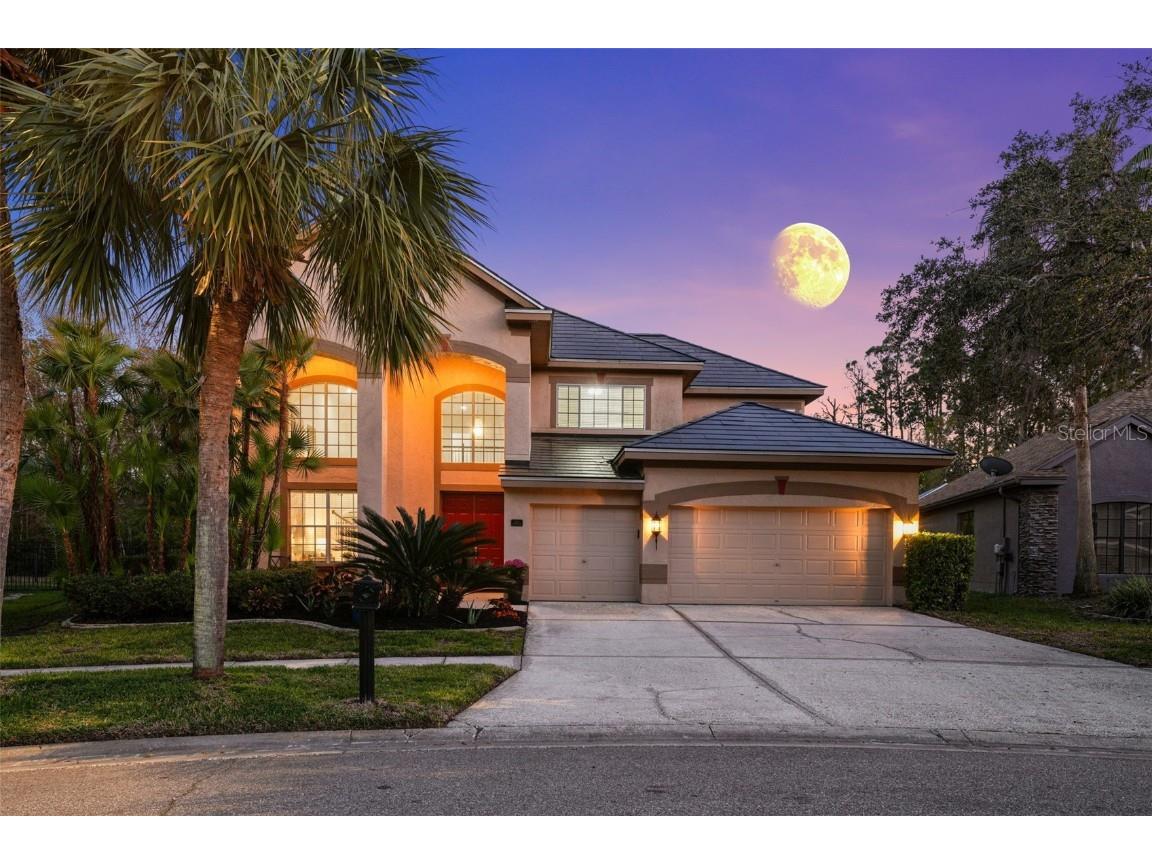 10436 Greendale Drive Tampa FL 33626 TB8355028 image1