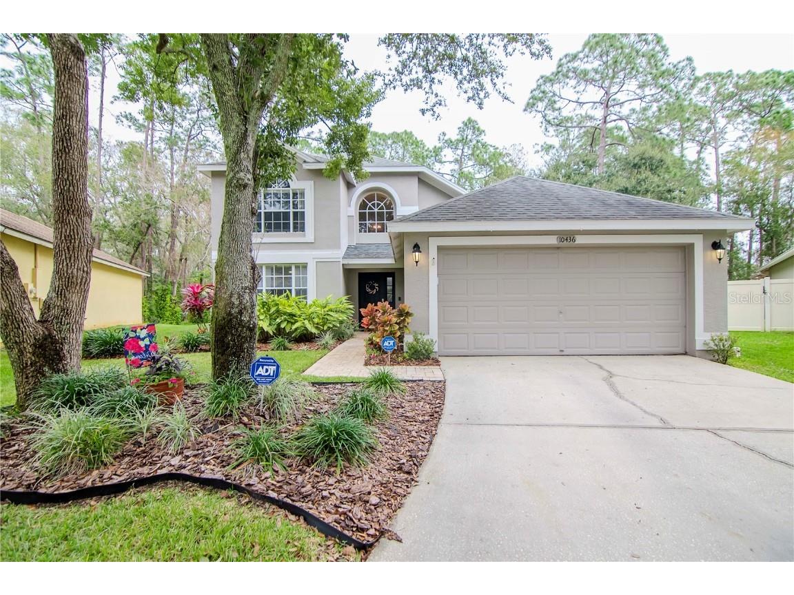 10436 Springrose Drive Tampa FL 33626 T3497591 image1