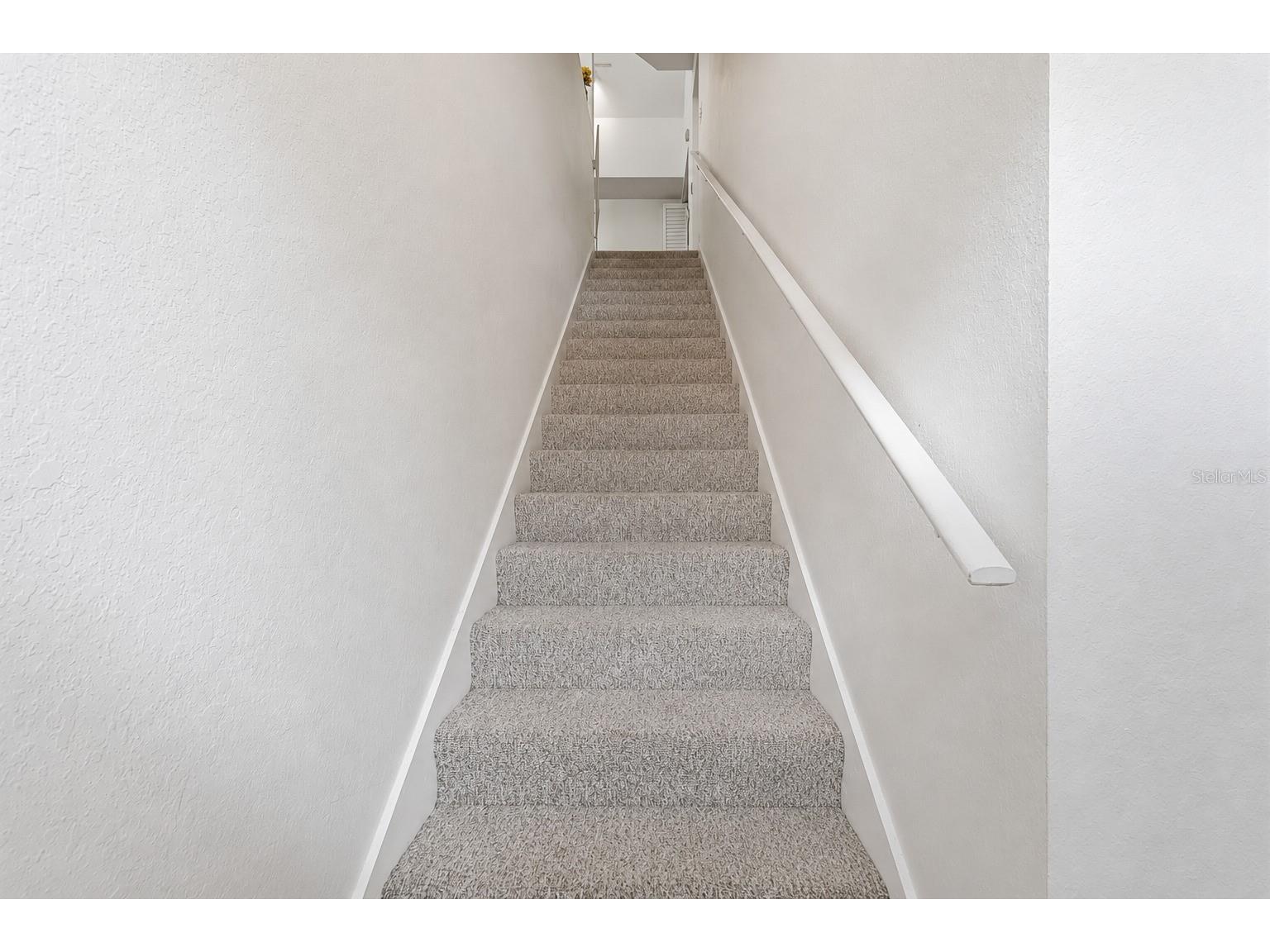 10436 White Lake Court #10436 Tampa FL 33626 A4694199 image12