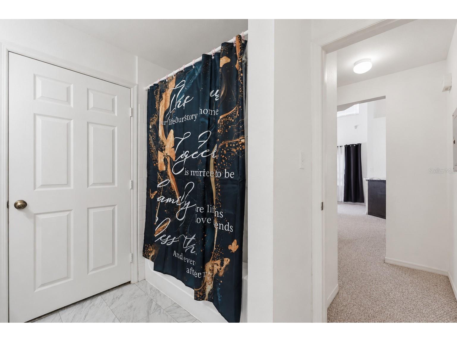 10436 White Lake Court #10436 Tampa FL 33626 A4694199 image15