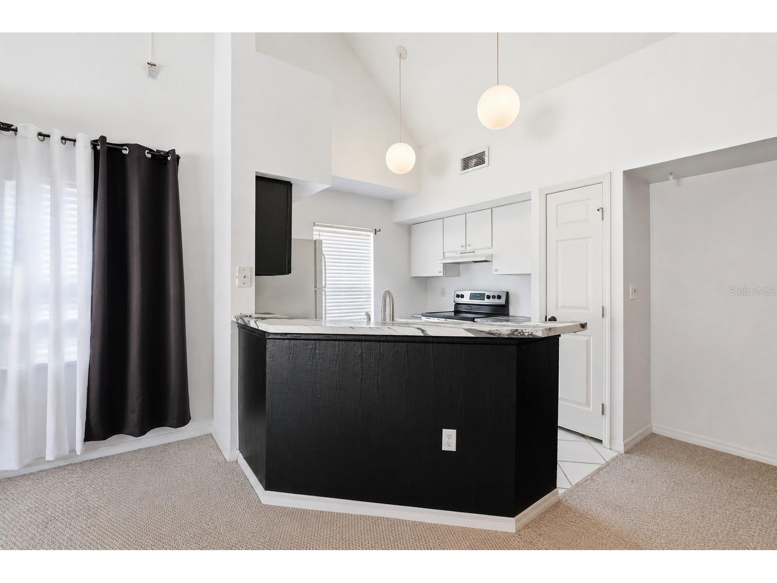 10436 White Lake Court #10436 Tampa FL 33626 A4694199 image9