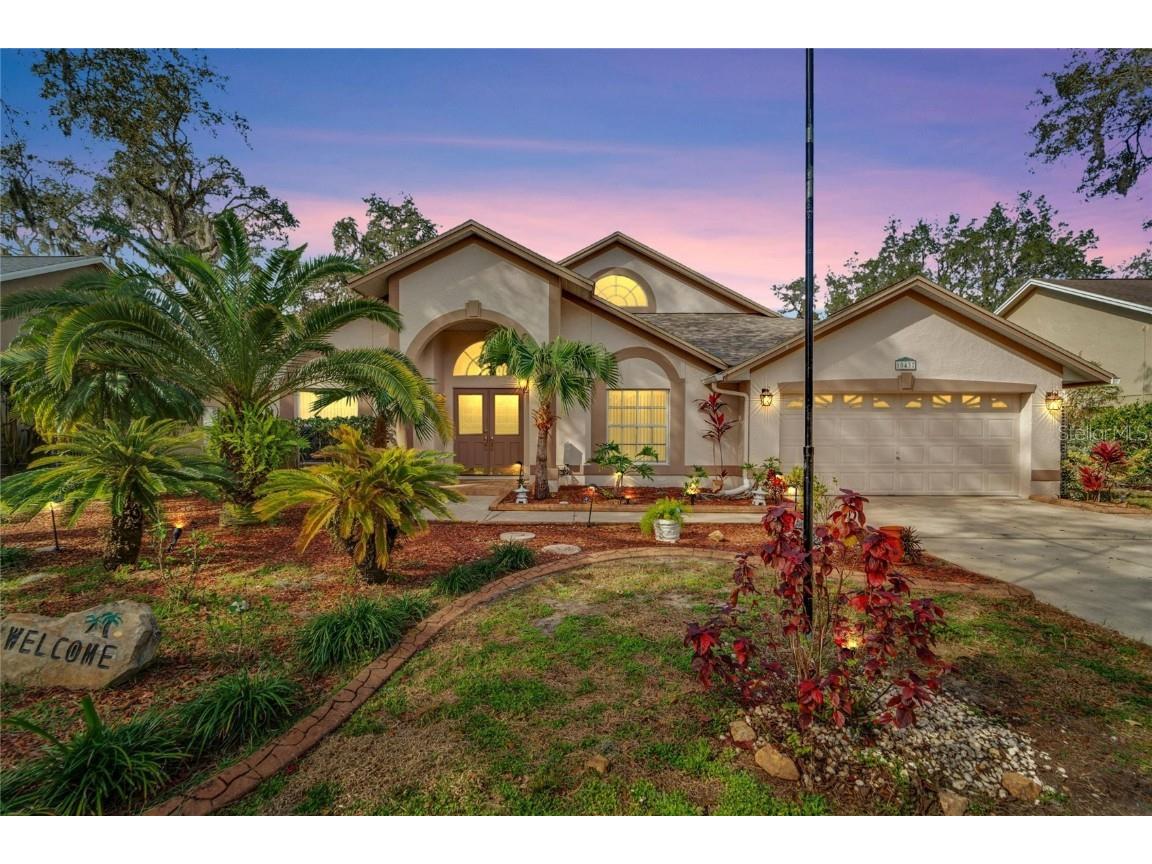 10437 Nightengale Drive Riverview FL 33569 T3500351 image1