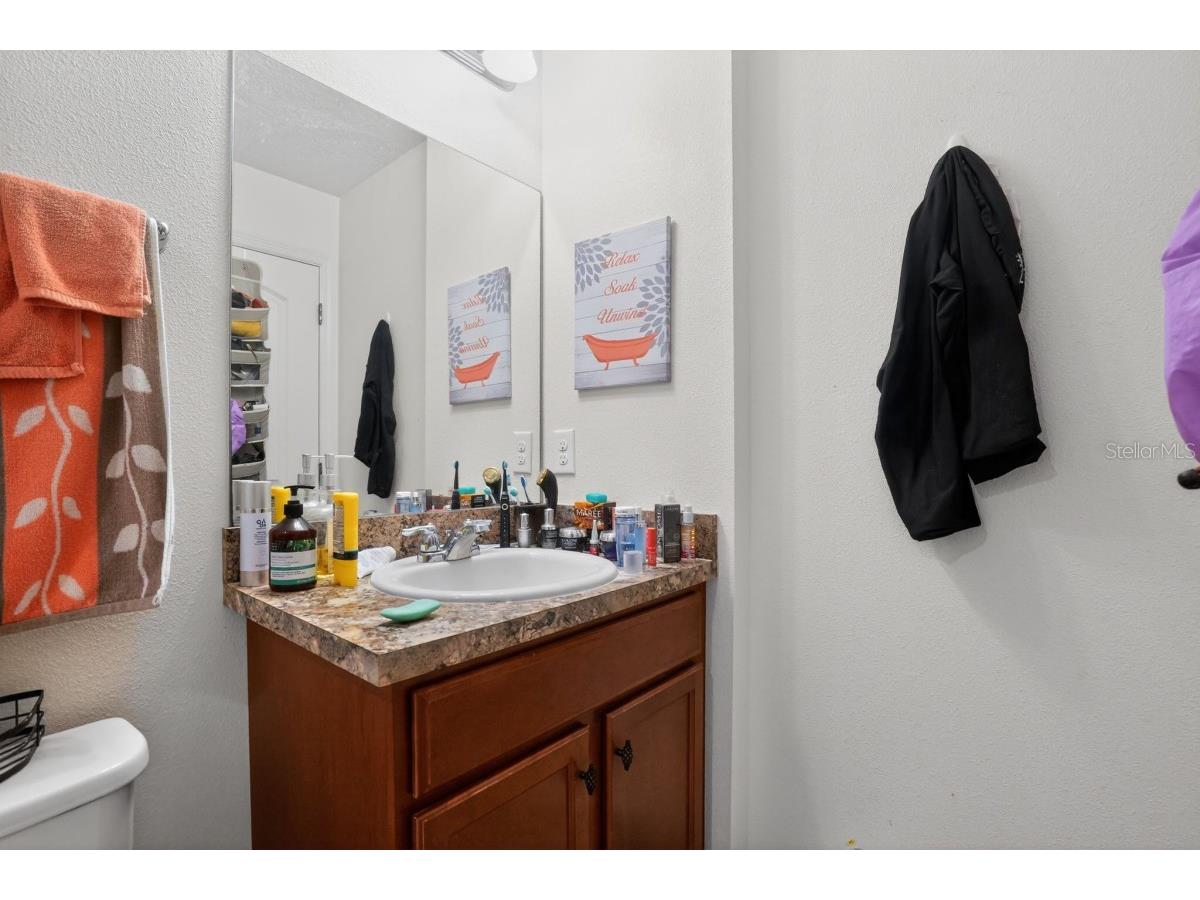 10438 Laguna Plains Drive Riverview FL 33578 A4677543 image16