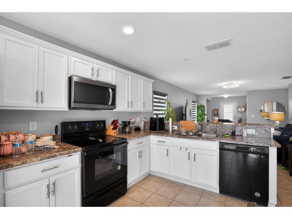 10438 Laguna Plains Drive Riverview FL 33578 A4677543 image6