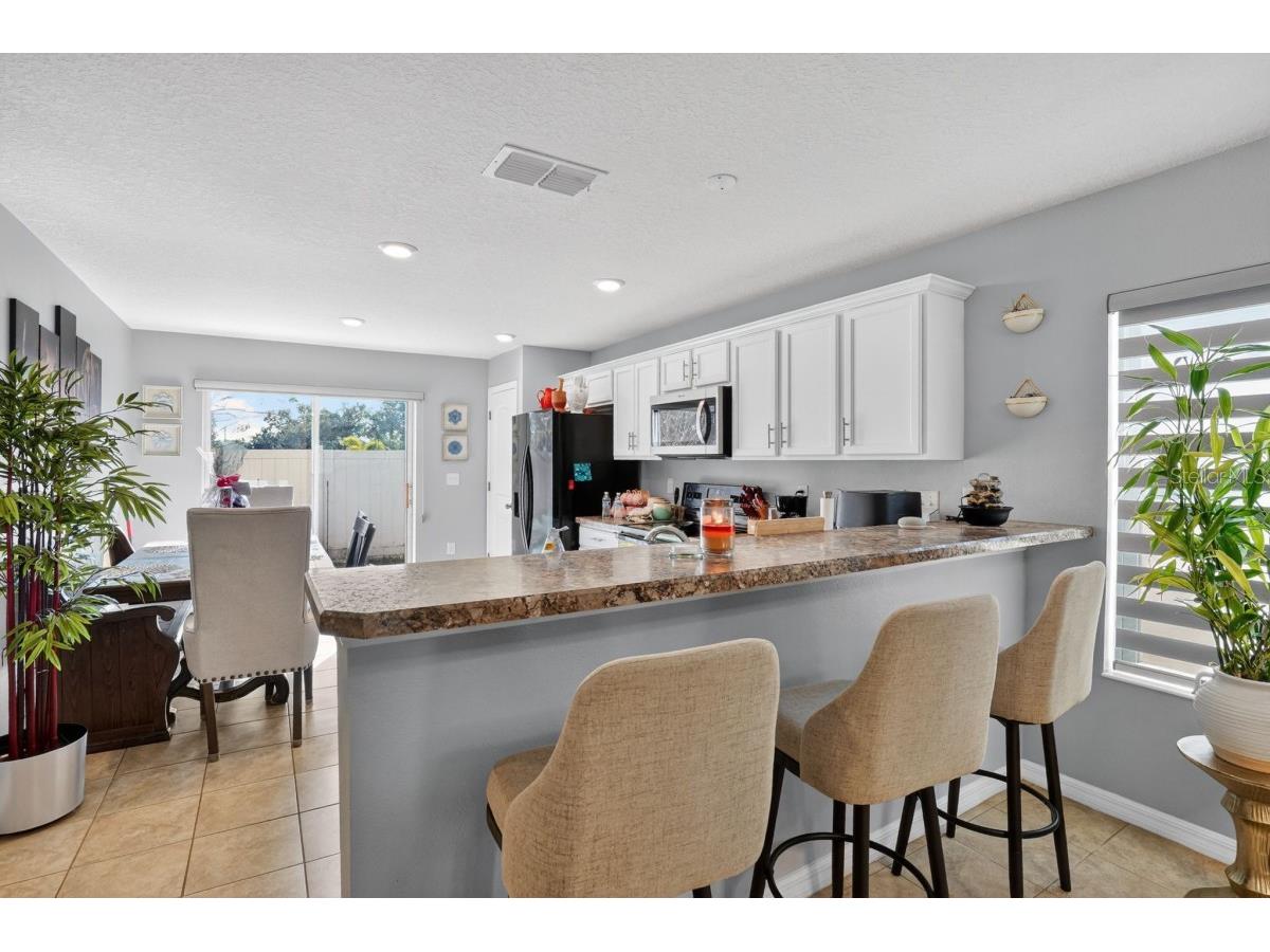 10438 Laguna Plains Drive Riverview FL 33578 A4677543 image7