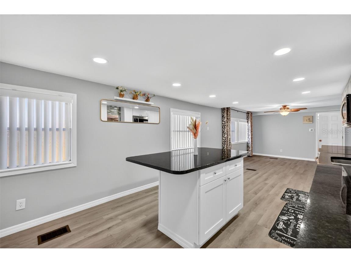 10438 SE 130th Place Ocklawaha FL 32179 G5104386 image10