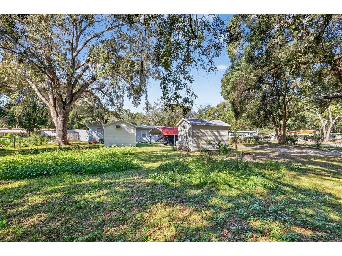 10438 SE 130th Place Ocklawaha FL 32179 G5104386 image28