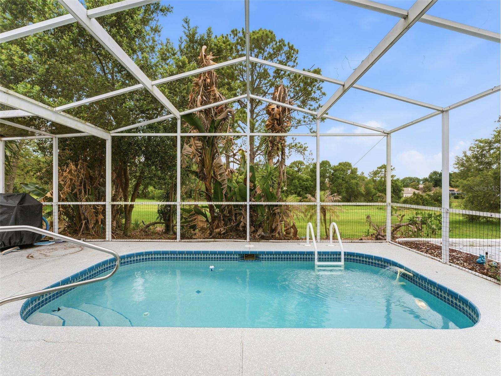 10439 Casa Grande Circle Spring Hill FL 34608 W7885859 image3