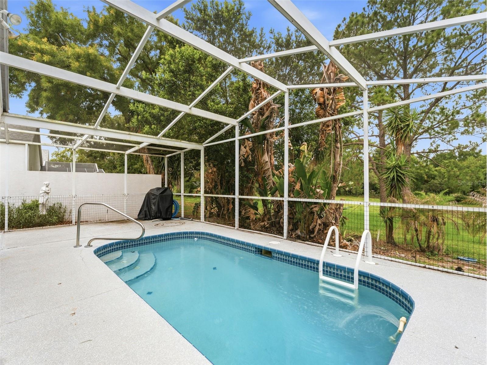 10439 Casa Grande Circle Spring Hill FL 34608 W7885859 image30