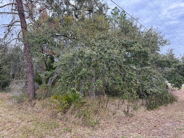 10439 Gypsy Avenue Weeki Wachee FL 34613 TB8459774 image1