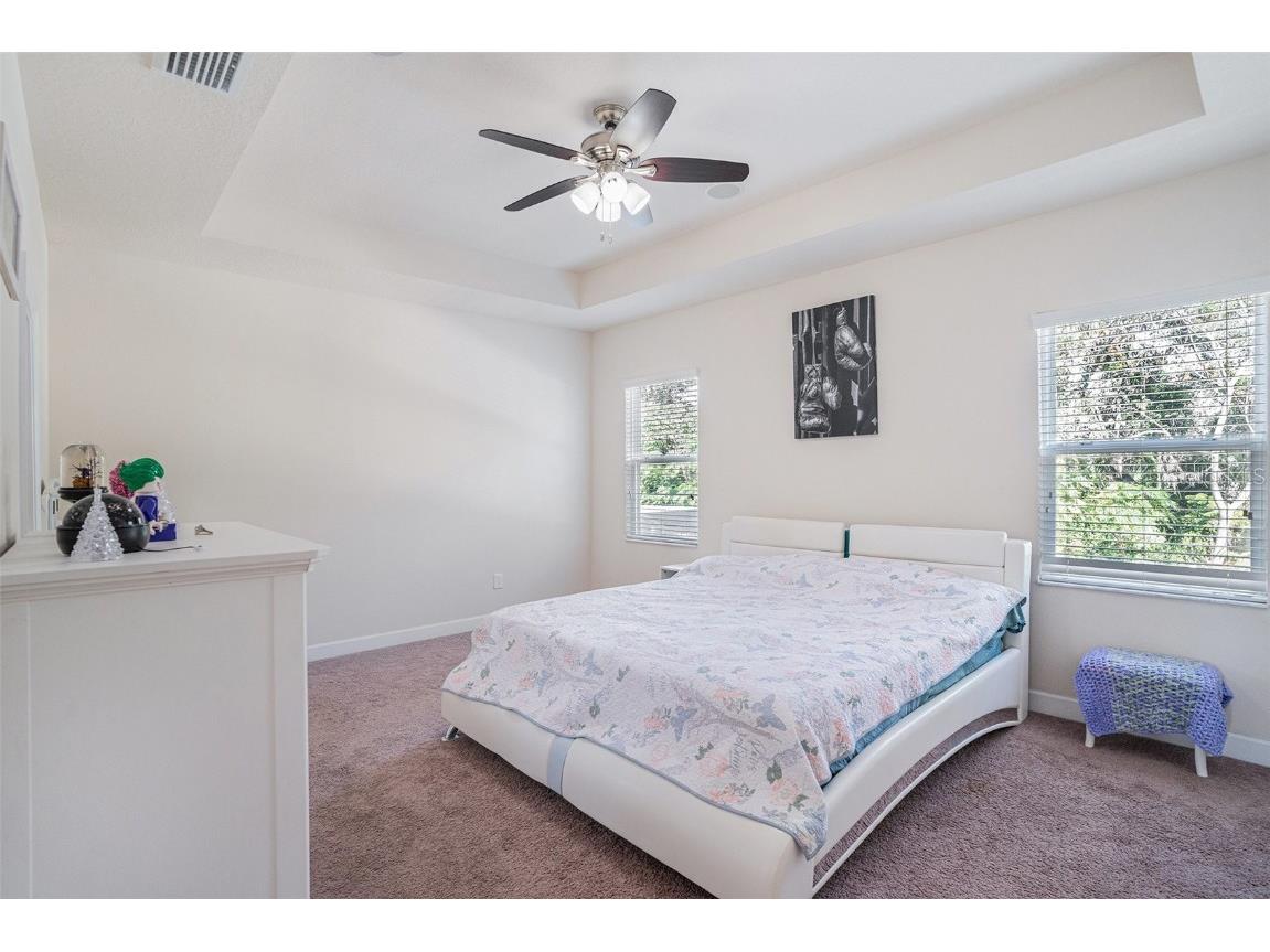 10439 Waterstone Drive Riverview FL 33578 TB8452286 image19