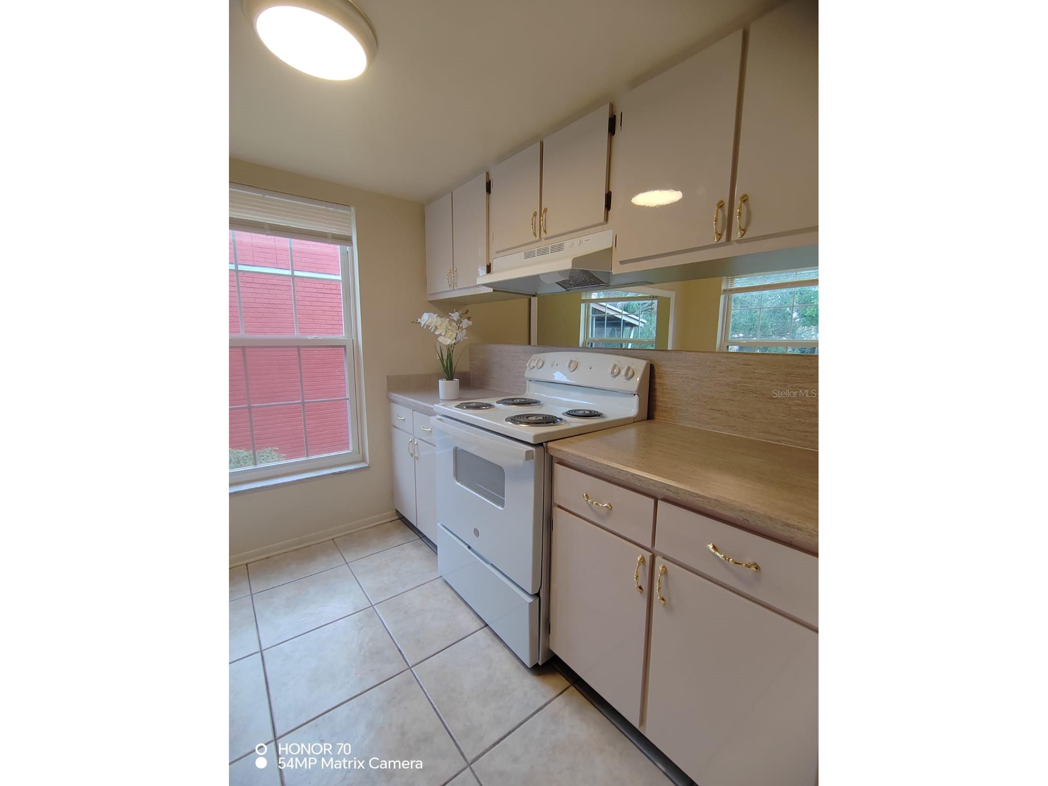 1044 82nd Terrace N #1044C Saint Petersburg FL 33702 TB8483972 image13