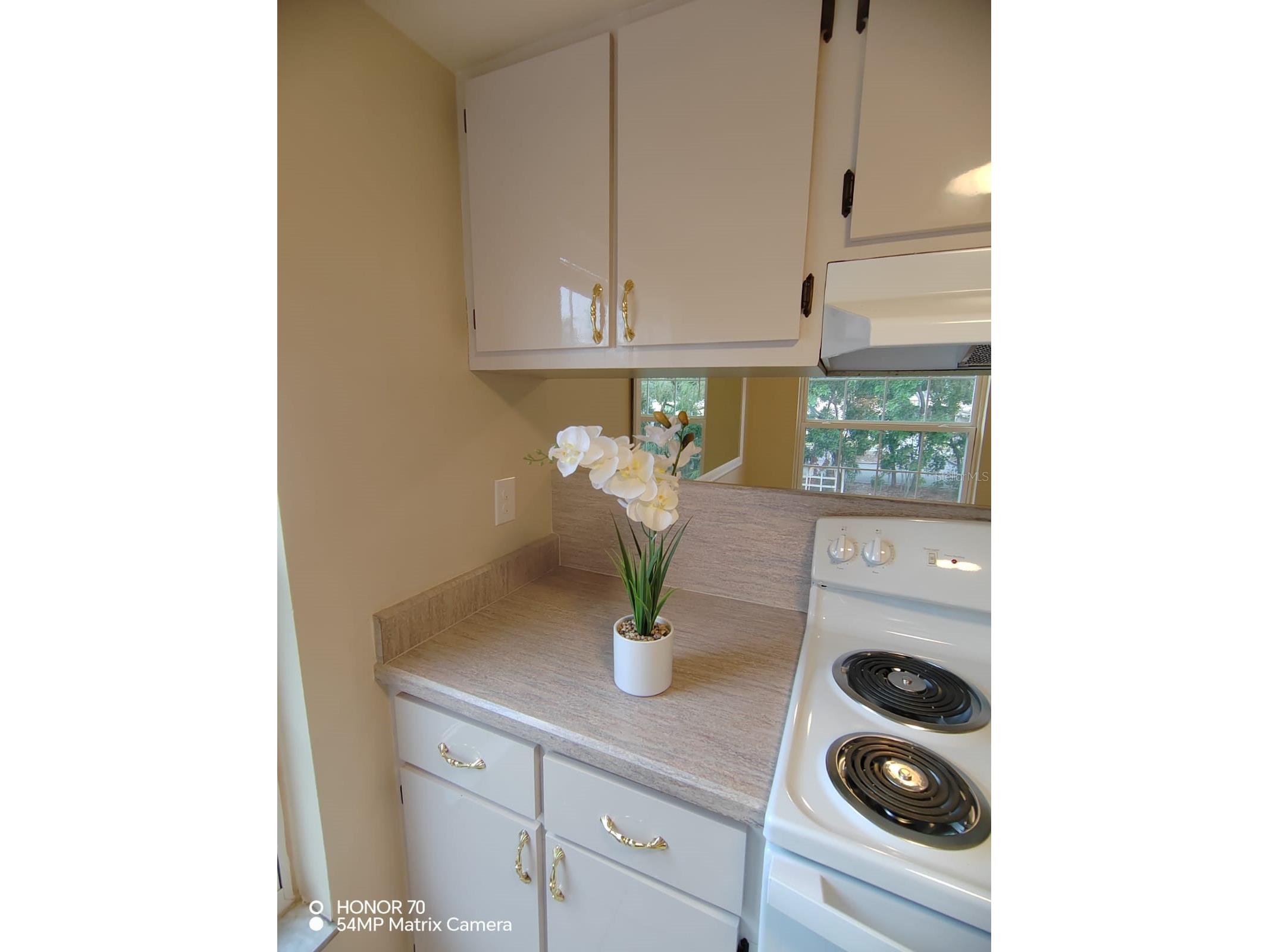 1044 82nd Terrace N #1044C Saint Petersburg FL 33702 TB8483972 image14
