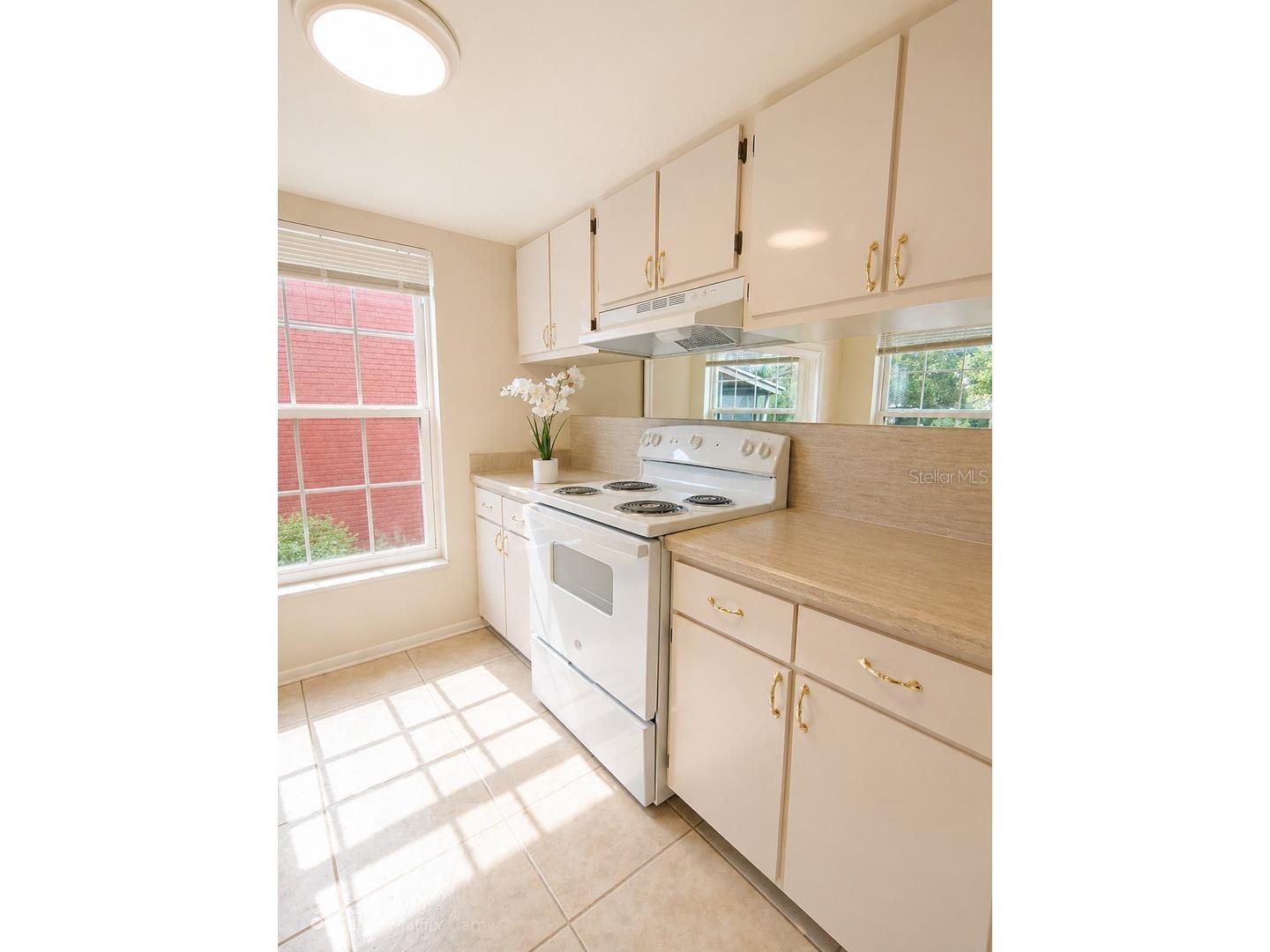 1044 82nd Terrace N #1044C Saint Petersburg FL 33702 TB8508924 image7