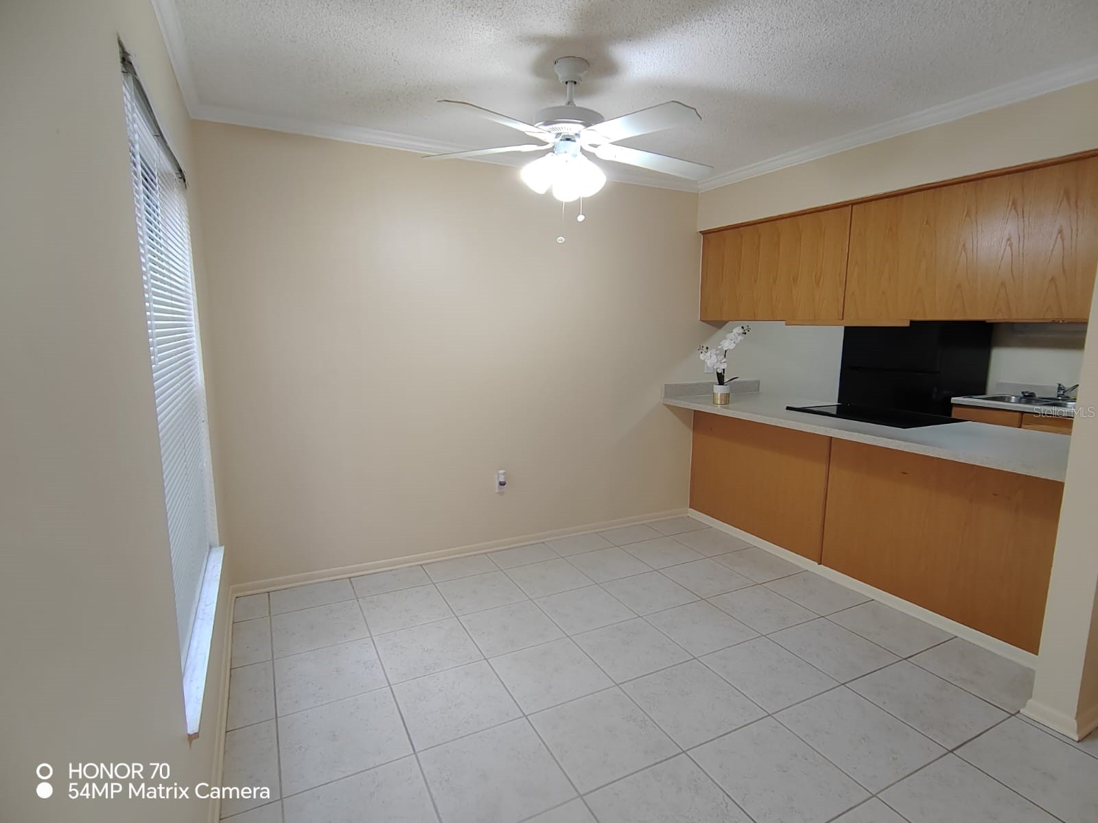 1044 82nd Terrace N #1044D Saint Petersburg FL 33702 TB8485207 image10