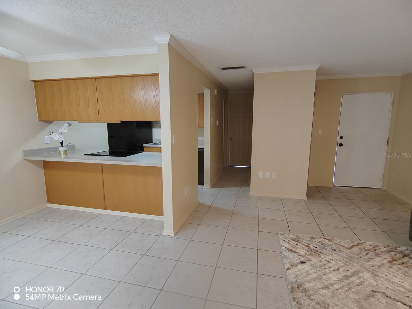 1044 82nd Terrace N #1044D Saint Petersburg FL 33702 TB8485207 image7