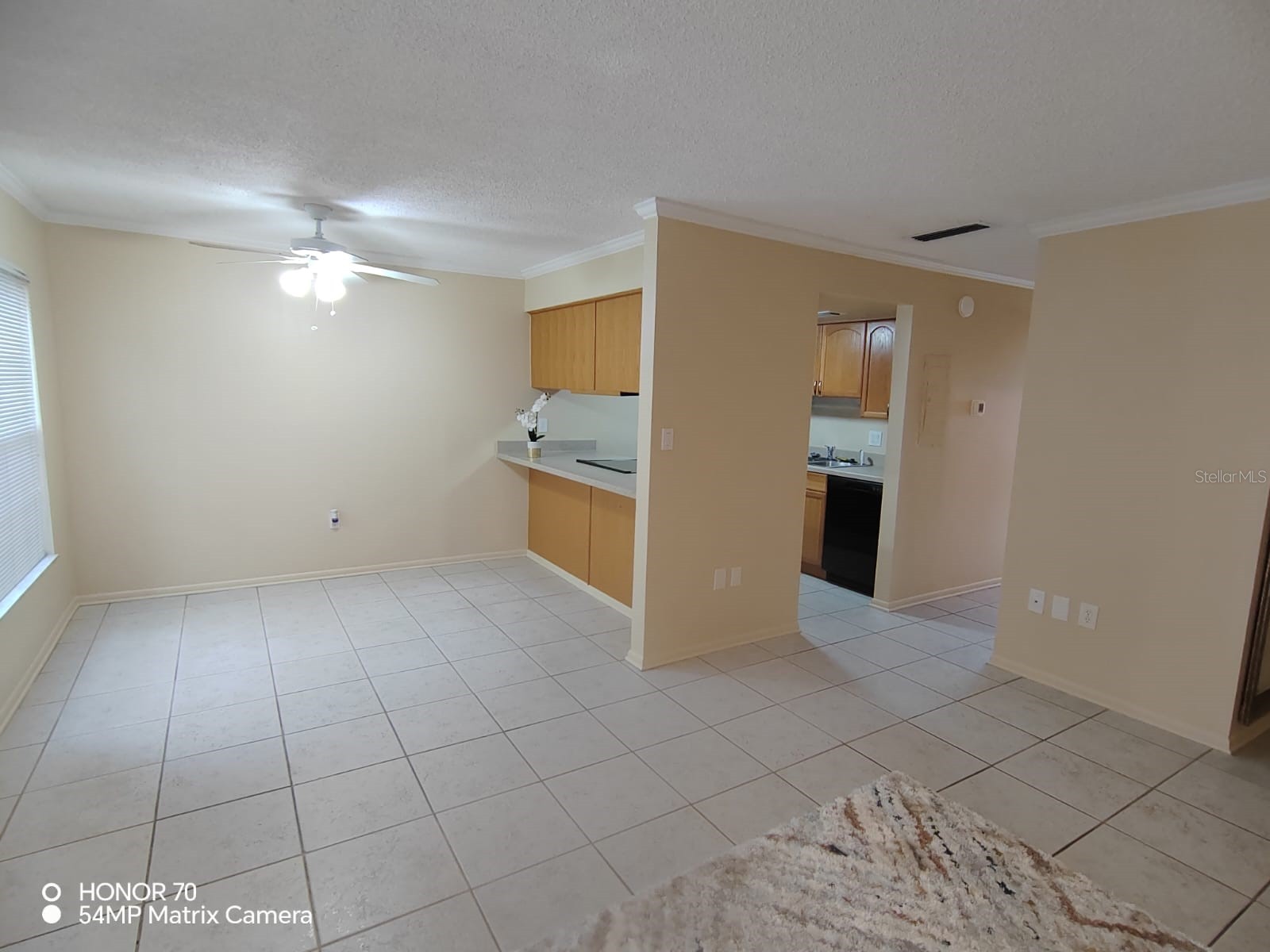 1044 82nd Terrace N #1044D Saint Petersburg FL 33702 TB8485207 image9