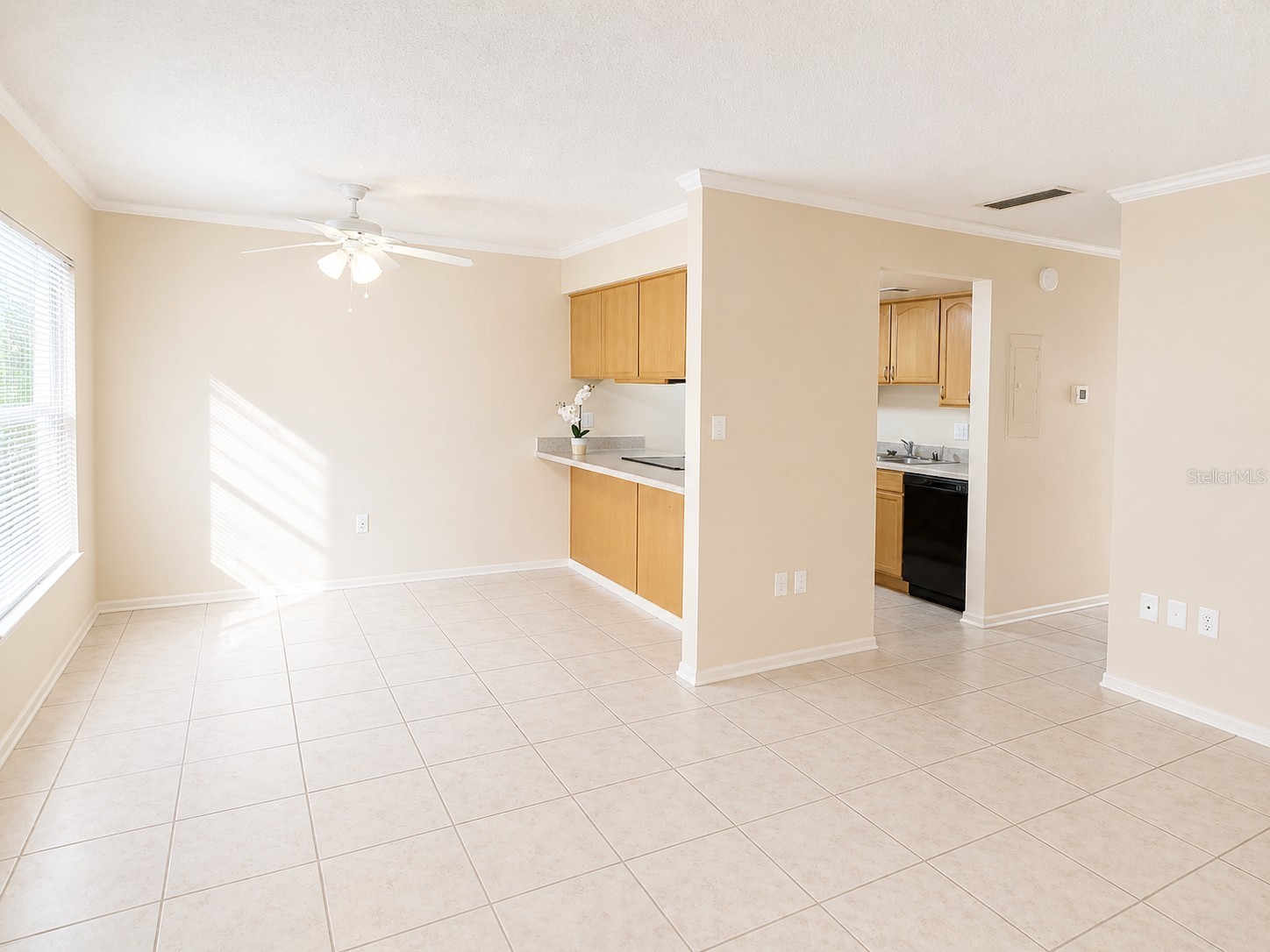 1044 82nd Terrace N #1044D Saint Petersburg FL 33702 TB8487994 image5
