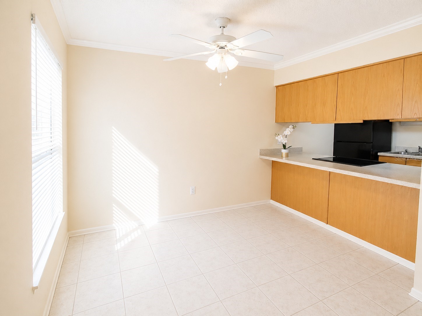 1044 82nd Terrace N #1044D Saint Petersburg FL 33702 TB8487994 image7