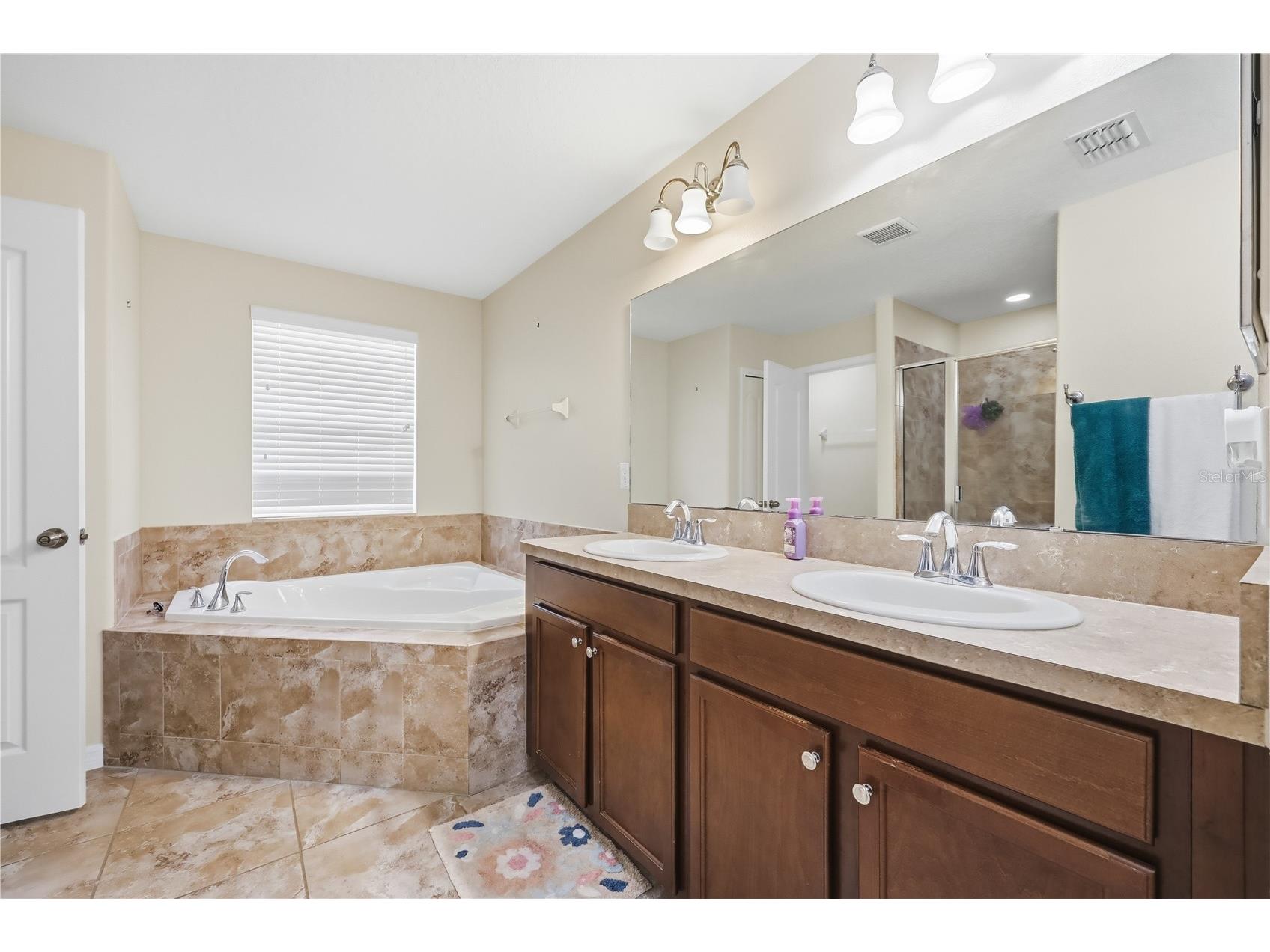 1044 Alston Bay Boulevard Apopka FL 32703 O6385226 image12