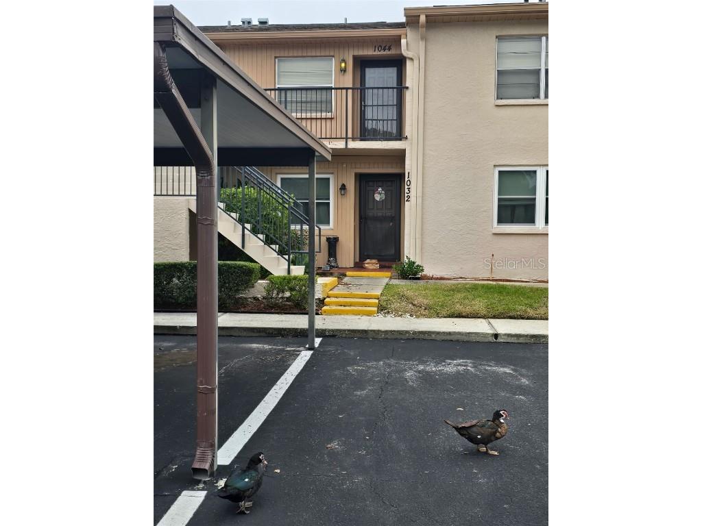 1044 Bowsprit Lane Holiday FL 34691 TB8454818 image1