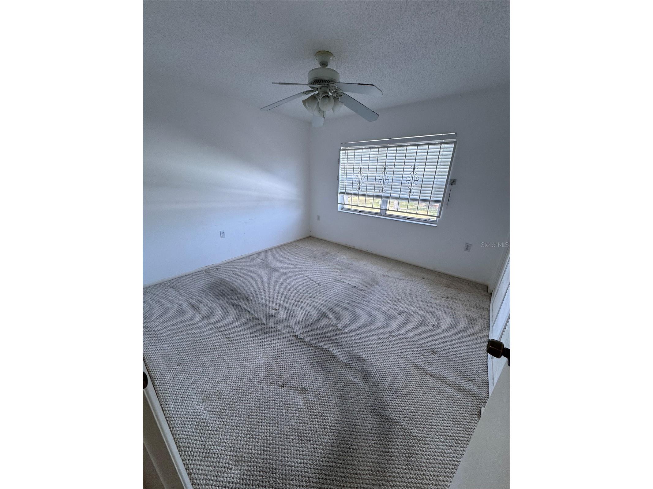 1044 Bowsprit Lane Holiday FL 34691 TB8454818 image19
