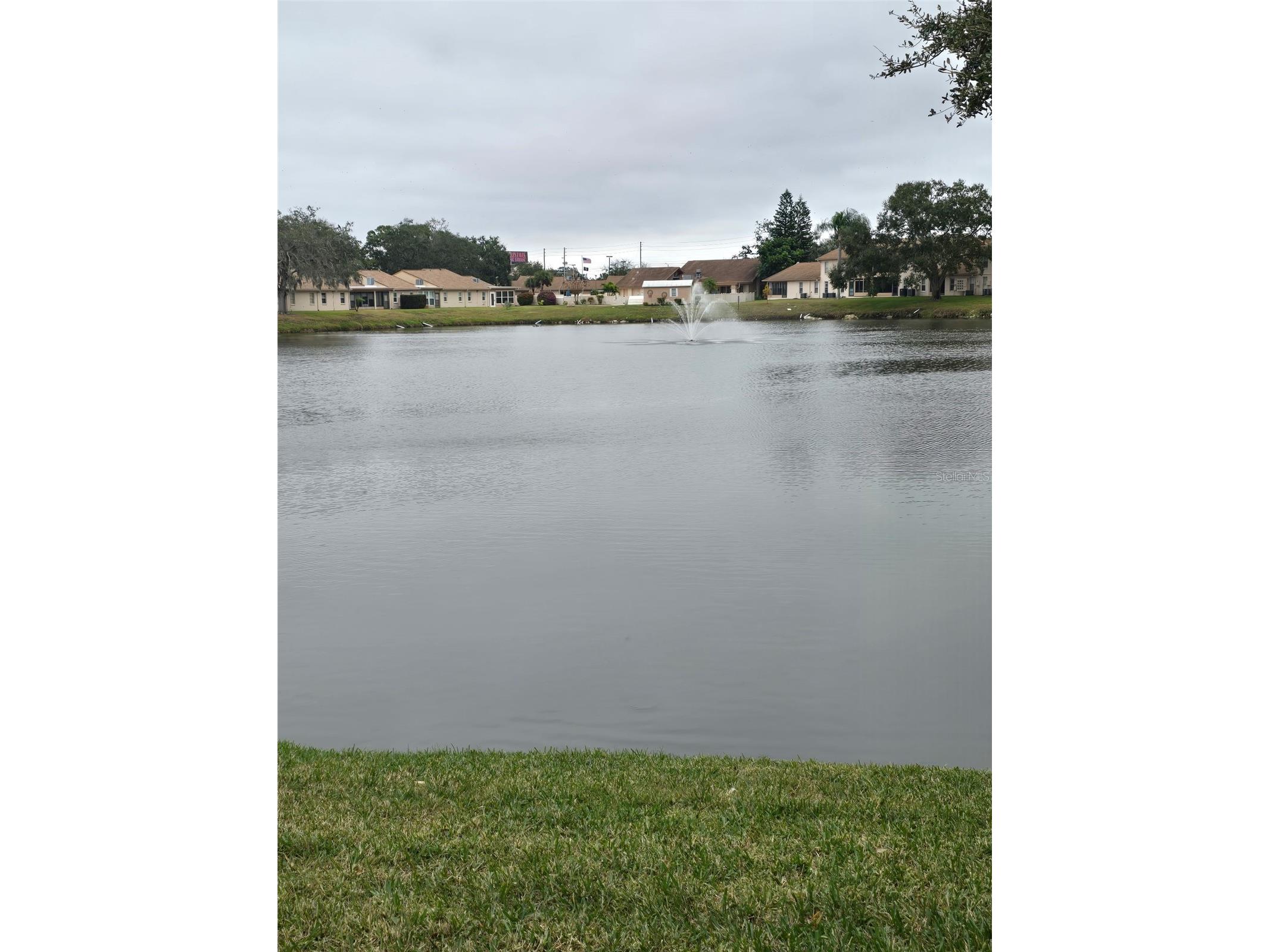 1044 Bowsprit Lane Holiday FL 34691 TB8454818 image22