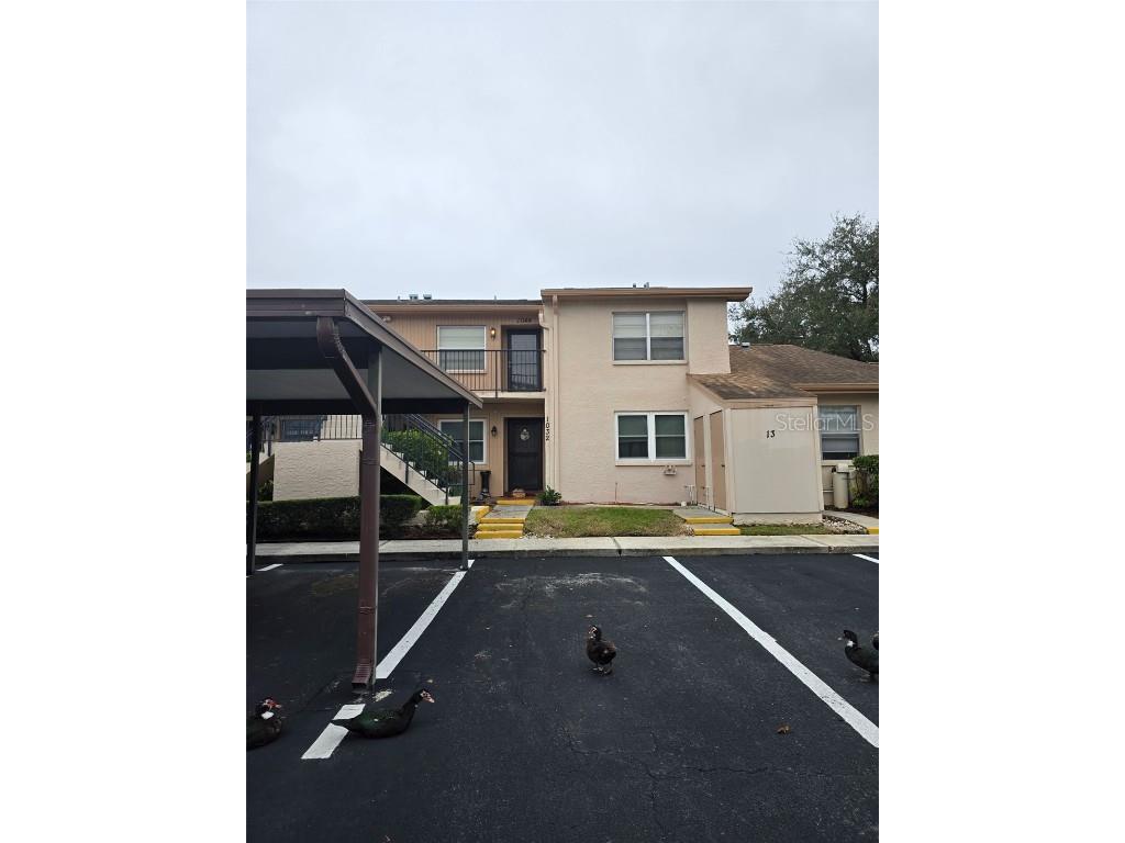 1044 Bowsprit Lane Holiday FL 34691 TB8454818 image3