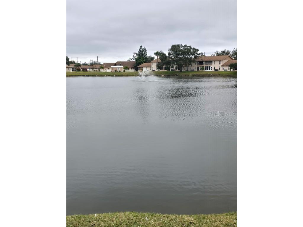 1044 Bowsprit Lane Holiday FL 34691 TB8454818 image4