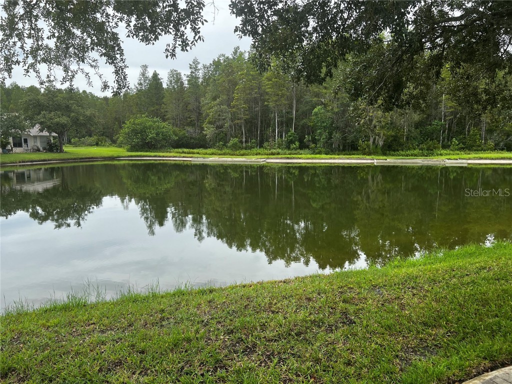 1044 Flora Vista Street Trinity FL 34655 U8210692 image1