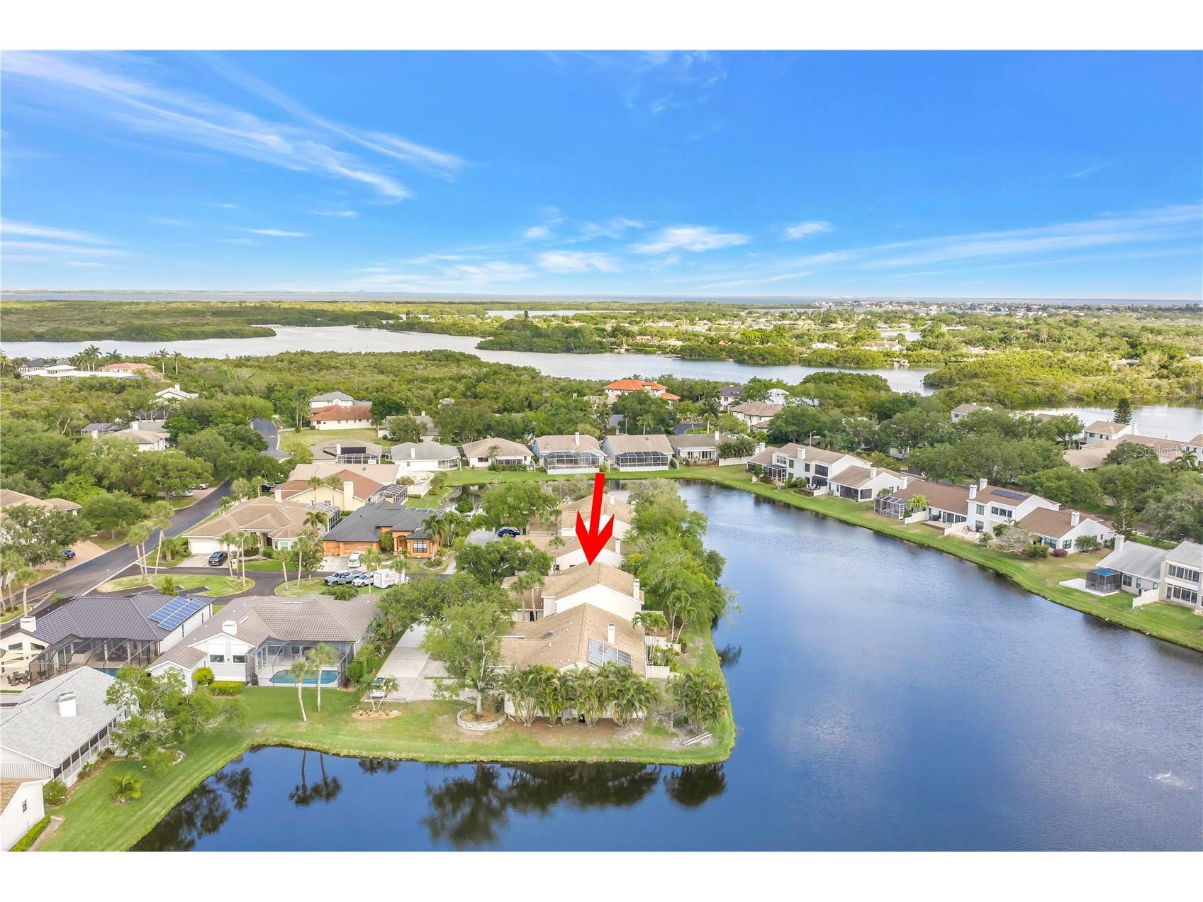 1044 Romano Court NE Saint Petersburg FL 33702 TB8503052 image21
