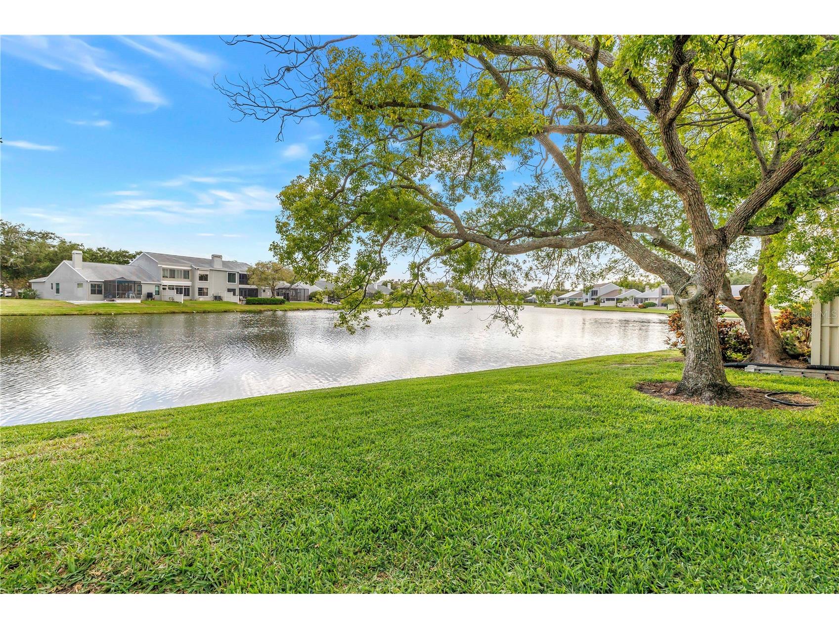 1044 Romano Court NE Saint Petersburg FL 33702 TB8503052 image7