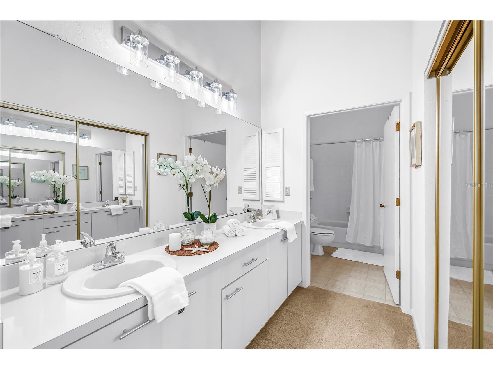 1044 Romano Court NE Saint Petersburg FL 33702 TB8503052 image8