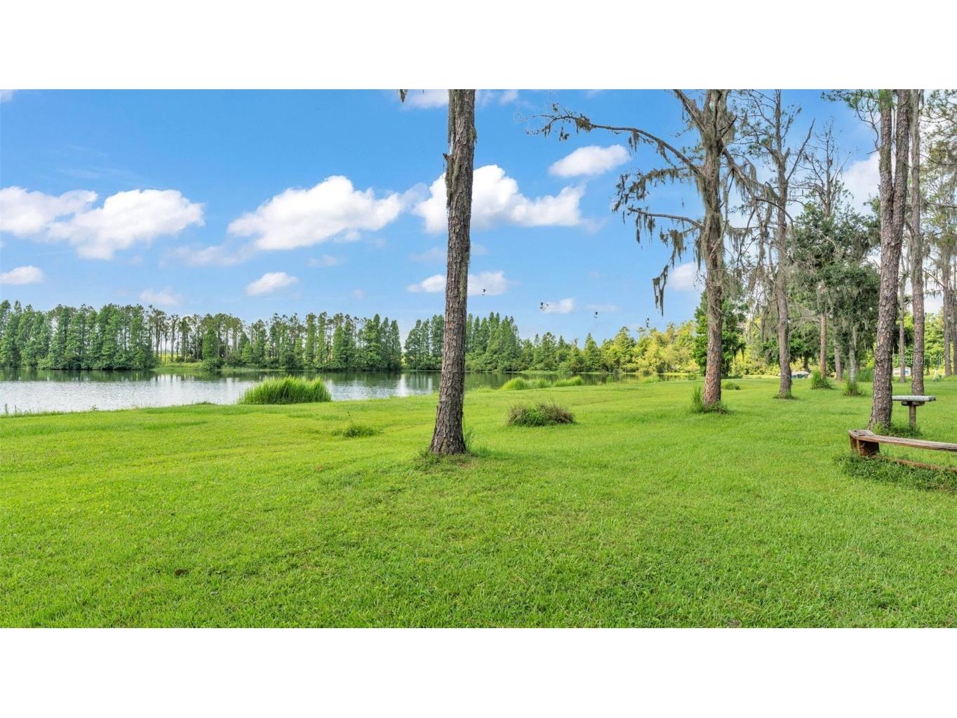 1044 Timbers Drive Fort Meade FL 33841 L4953805 image2