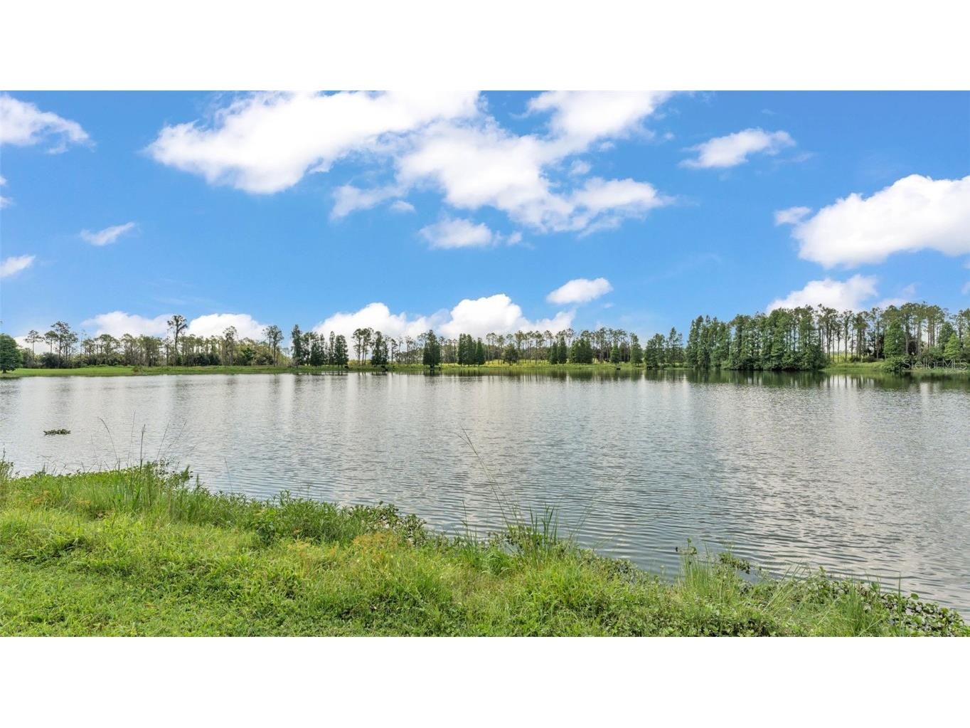 1044 Timbers Drive Fort Meade FL 33841 L4953805 image36